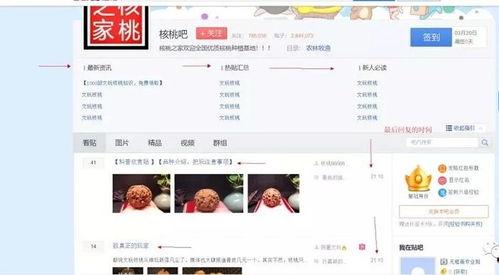 看爆料视频的群名怎么取,看爆料视频群名背后的故事  第2张